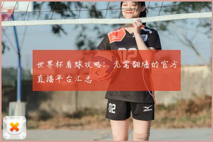 世界杯看球攻略：无需翻墙的官方直播平台汇总