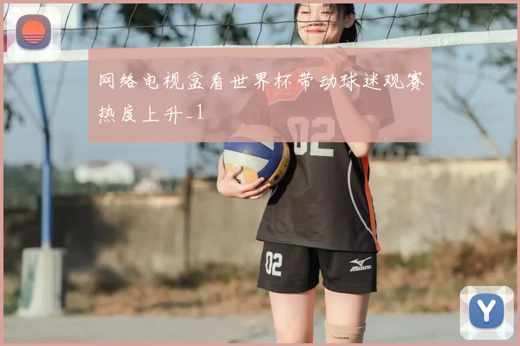 网络电视盒看世界杯带动球迷观赛热度上升_1