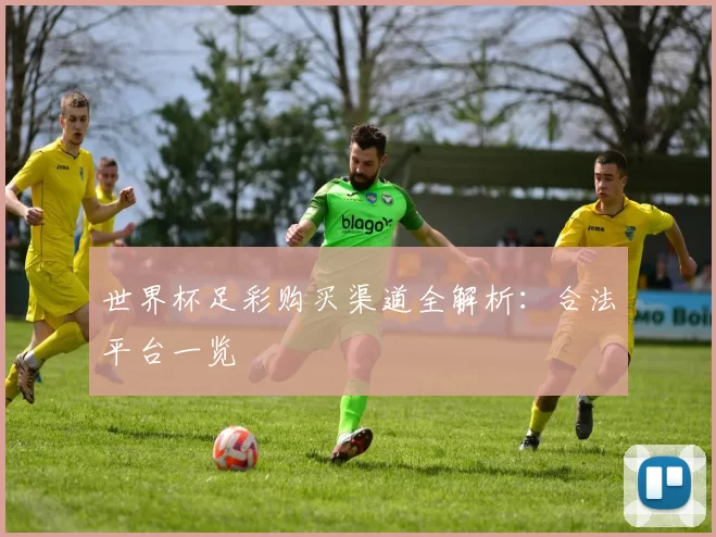 世界杯足彩购买渠道全解析：合法平台一览