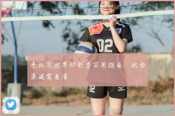手机买世界杯彩票实用指南，这些渠道需看清