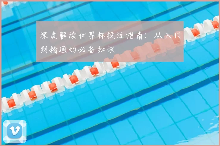 深度解读世界杯投注指南:从入门到精通的必备知识