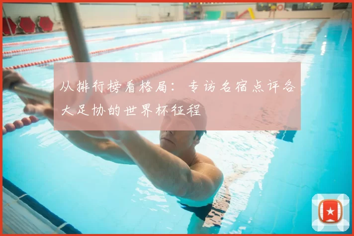 从排行榜看格局:专访名宿点评各大足协的世界杯征程
