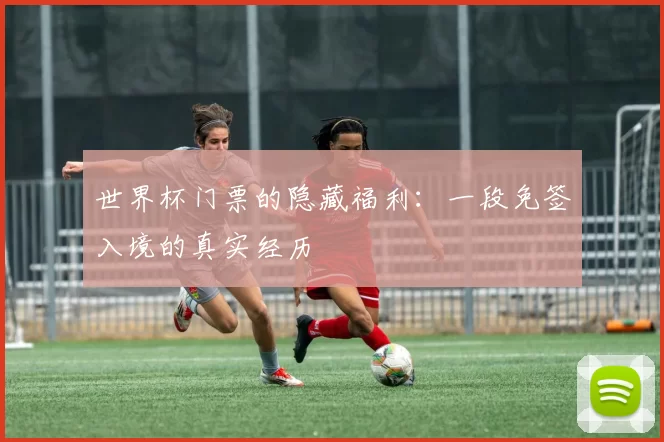 世界杯门票的隐藏福利:一段免签入境的真实经历