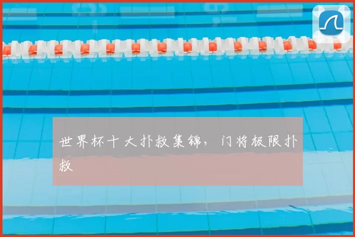 世界杯十大扑救集锦,门将极限扑救