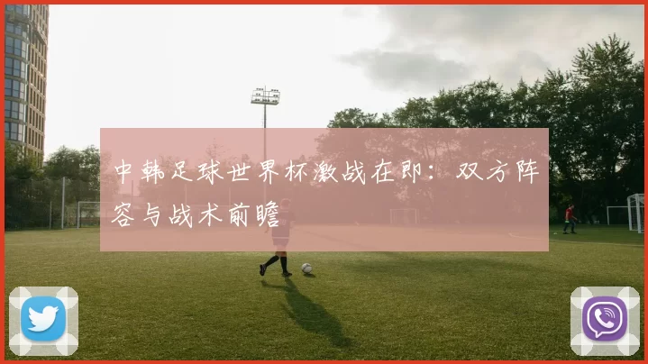 中韩足球世界杯激战在即:双方阵容与战术前瞻