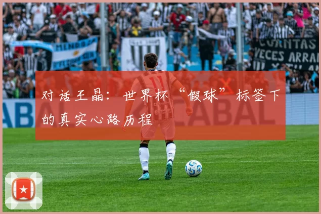 对话王晶:世界杯“假球”标签下的真实心路历程