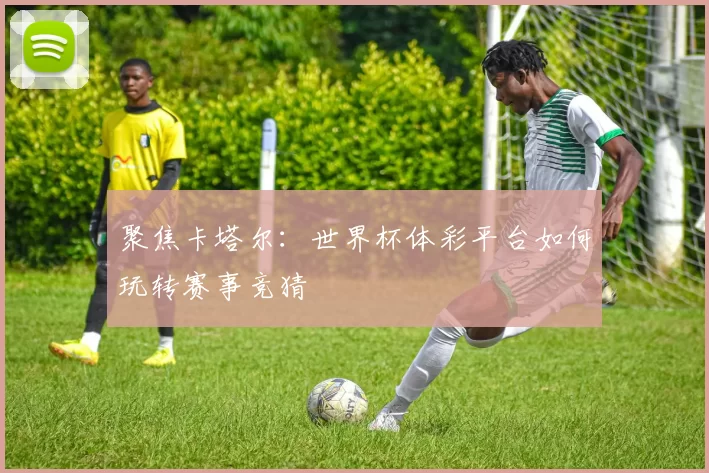 聚焦卡塔尔：世界杯体彩平台如何玩转赛事竞猜