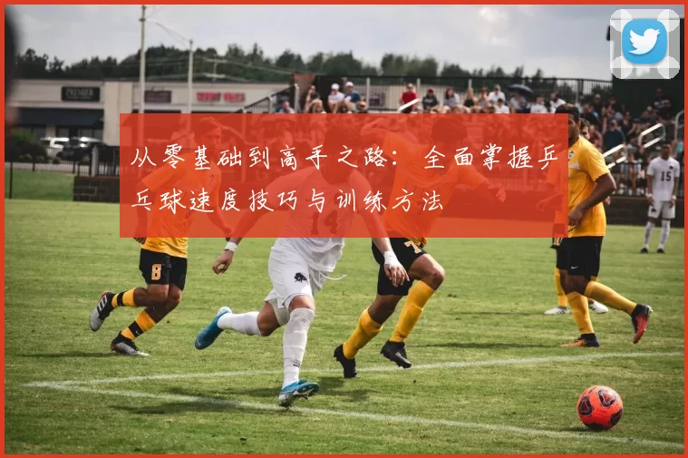 从零基础到高手之路：全面掌握乒乓球速度技巧与训练方法