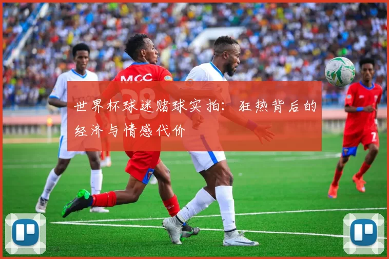 世界杯球迷赌球实拍:狂热背后的经济与情感代价