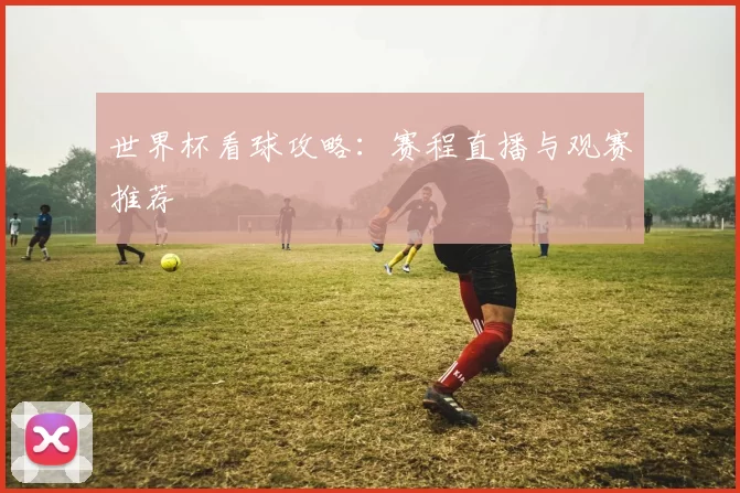 世界杯看球攻略：赛程直播与观赛推荐