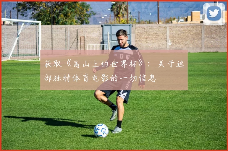 获取《高山上的世界杯》:关于这部独特体育电影的一切信息