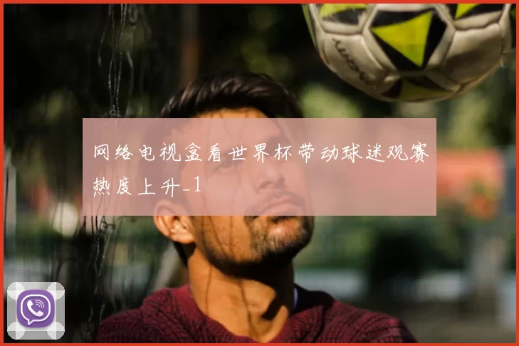 网络电视盒看世界杯带动球迷观赛热度上升_1