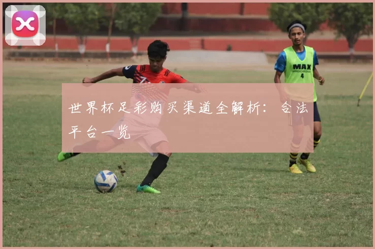 世界杯足彩购买渠道全解析：合法平台一览