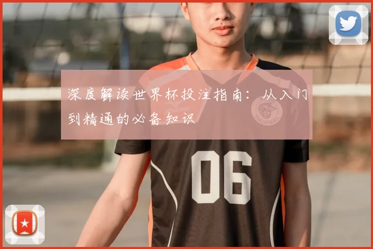 深度解读世界杯投注指南:从入门到精通的必备知识