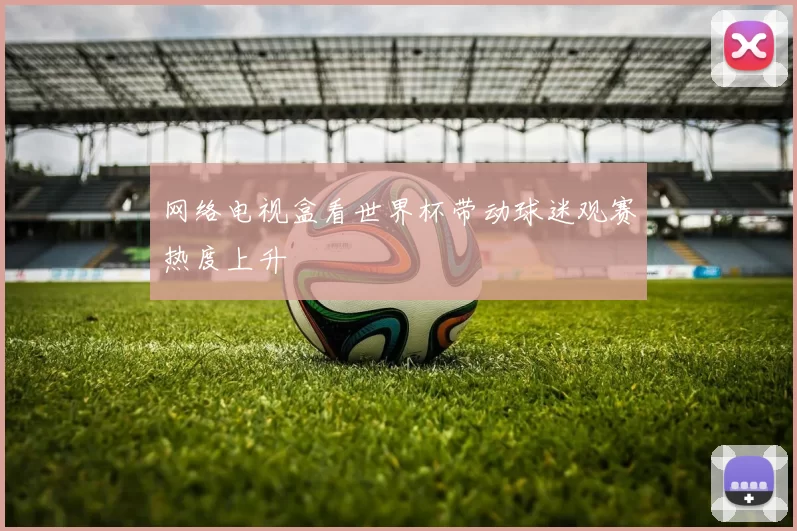 网络电视盒看世界杯带动球迷观赛热度上升